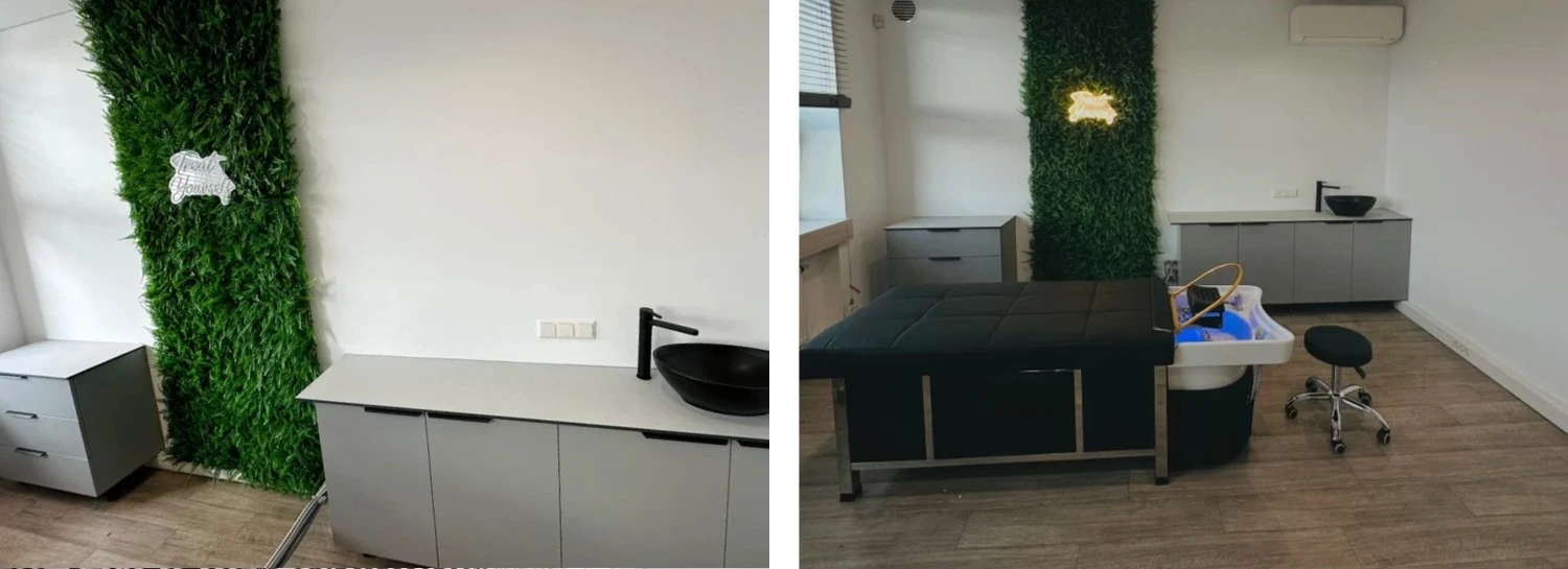 Dirbtiniai augalai verslui, dirbtiniai augalai, dirbtiniu augalu sienos